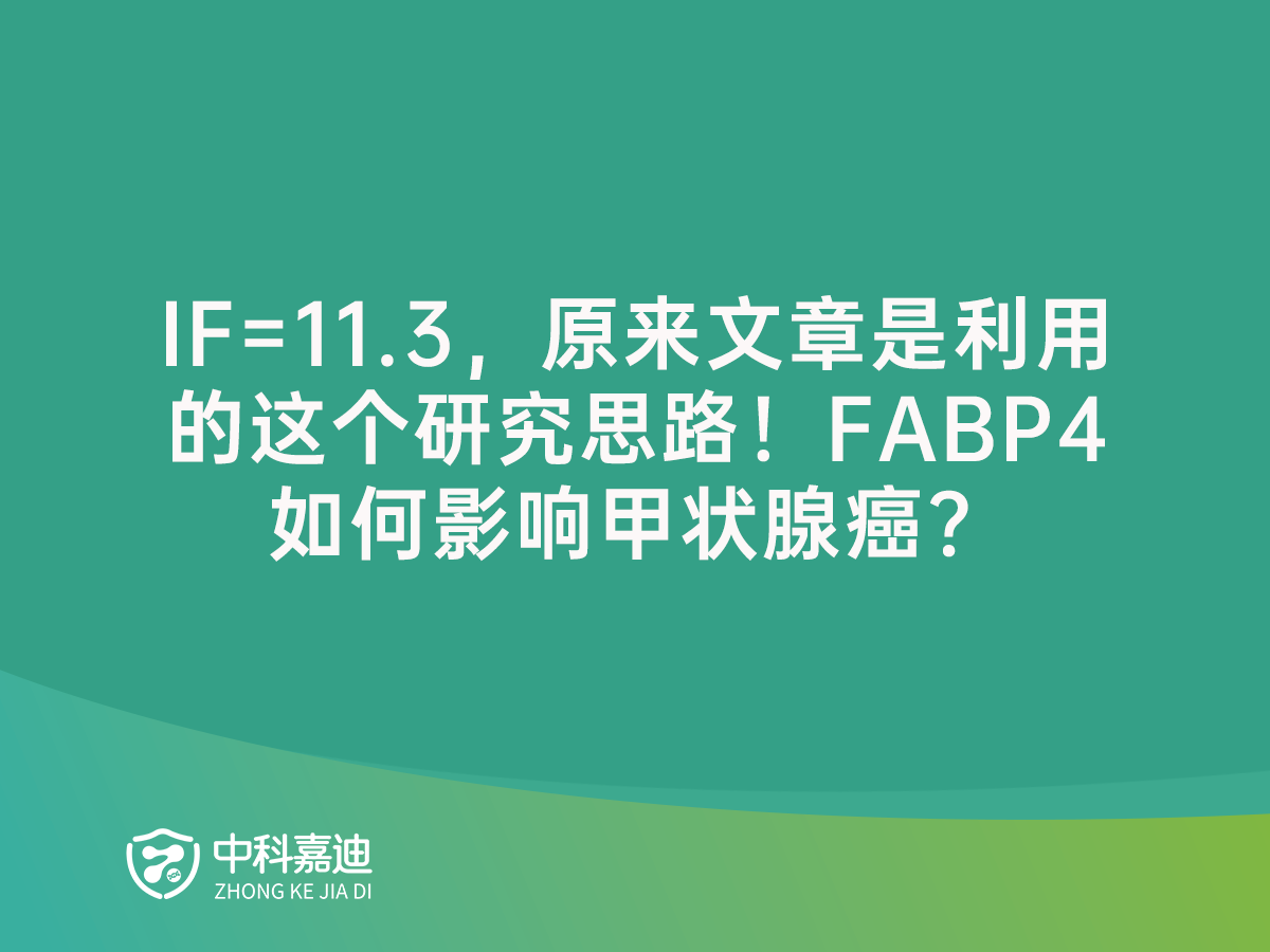 http://gfytf.cn/uploads/20250117/93422464dad0b095cea18e7a2da59427.png